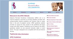 Desktop Screenshot of apecguidelines.org